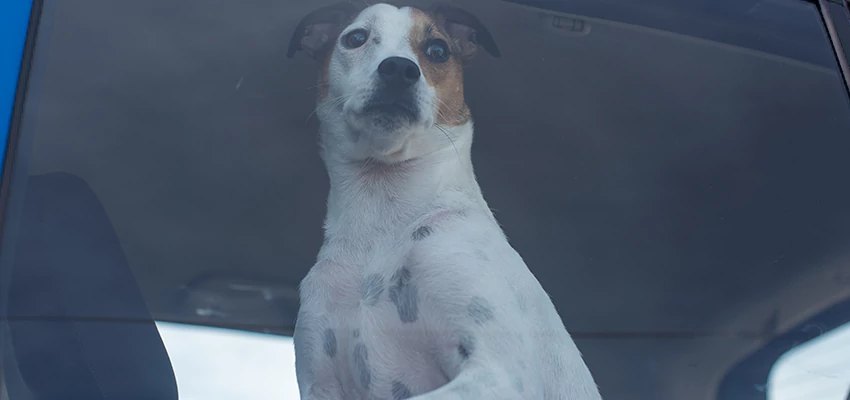 Car Lockout Solutions in Signal Hill, California